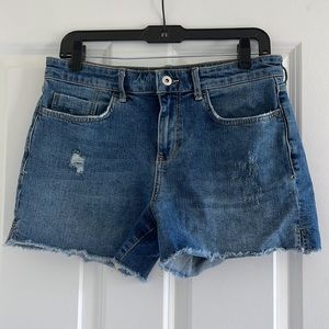 Anthropologie Pilcro Slim Boyfriend Denim Shorts